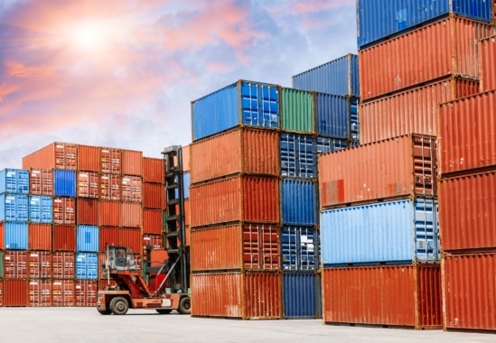 Importador/exportador
