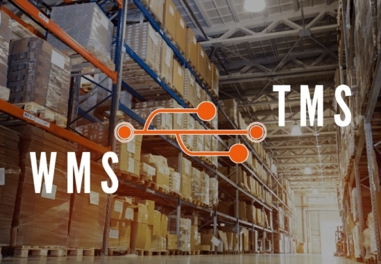 tms et wms