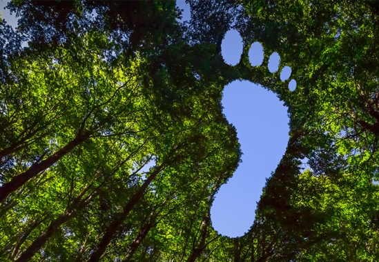 réduire les émissions de CO2
